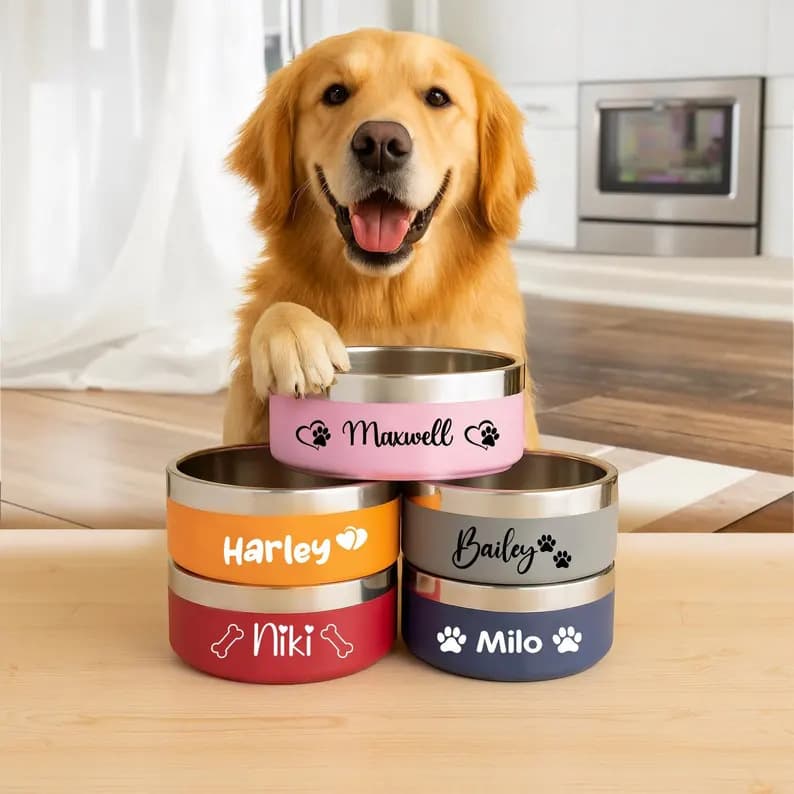 Pet Bowl